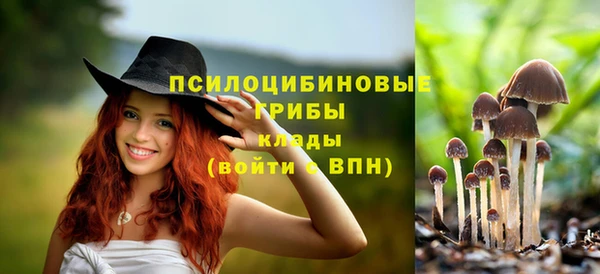 скорость Арсеньев