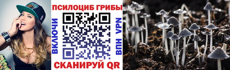 мега ссылка  Чистополь  Галлюциногенные грибы Psilocybe 